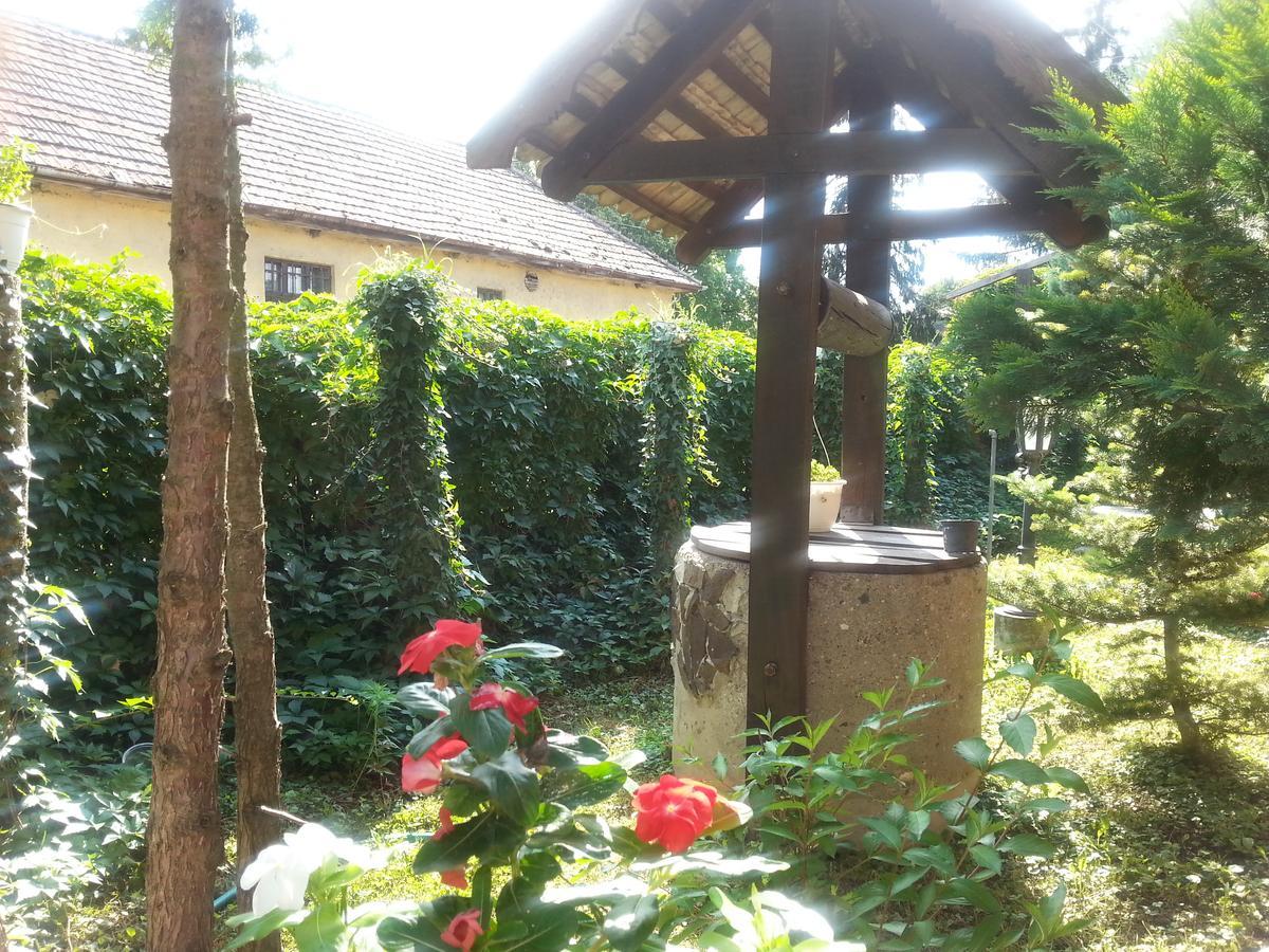 Felso Fogado Bed & Breakfast Felsőtold Exterior foto