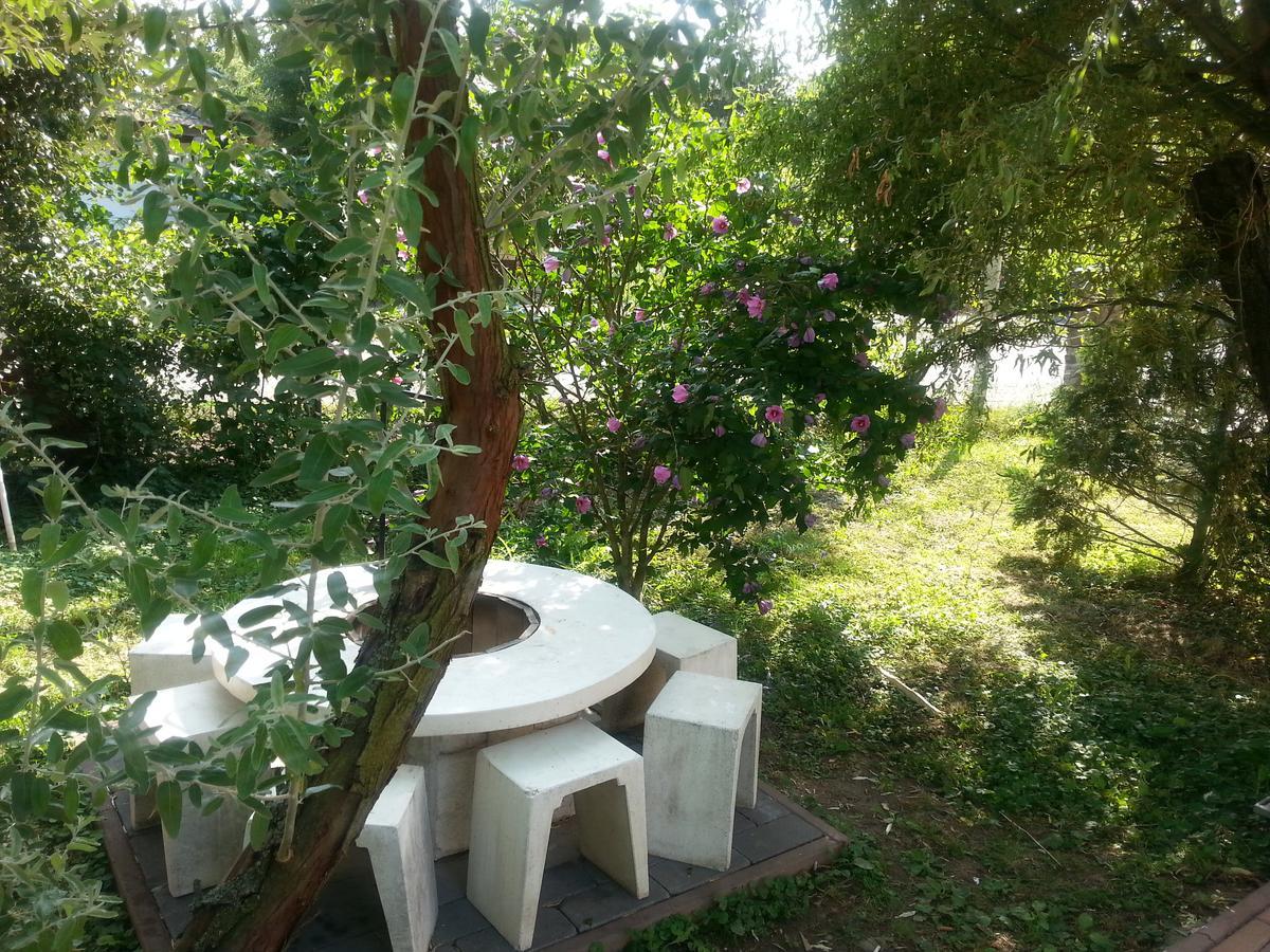Felso Fogado Bed & Breakfast Felsőtold Exterior foto